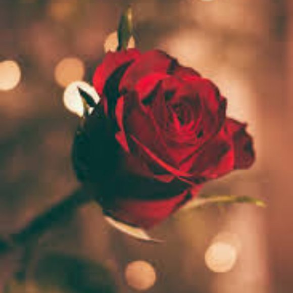 stuff people that have on tik tok - Picture 1 of 16